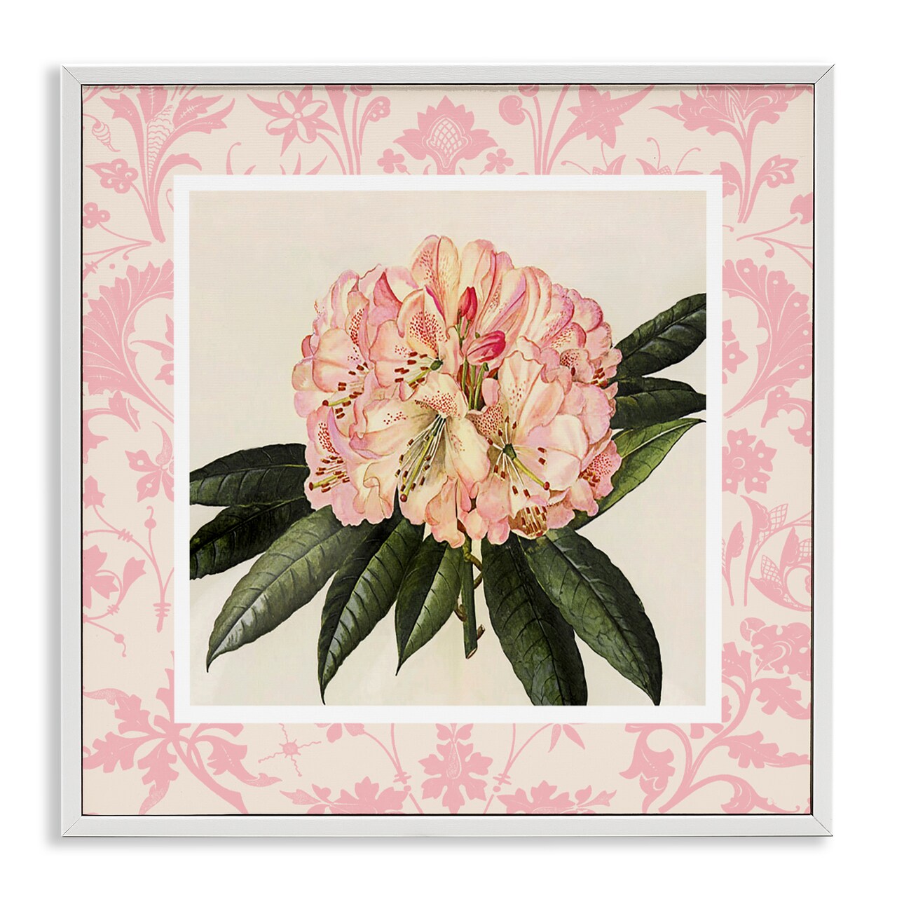 Stupell Industries Pink Pattern Botanical Framed Giclee, design by Livi Finn